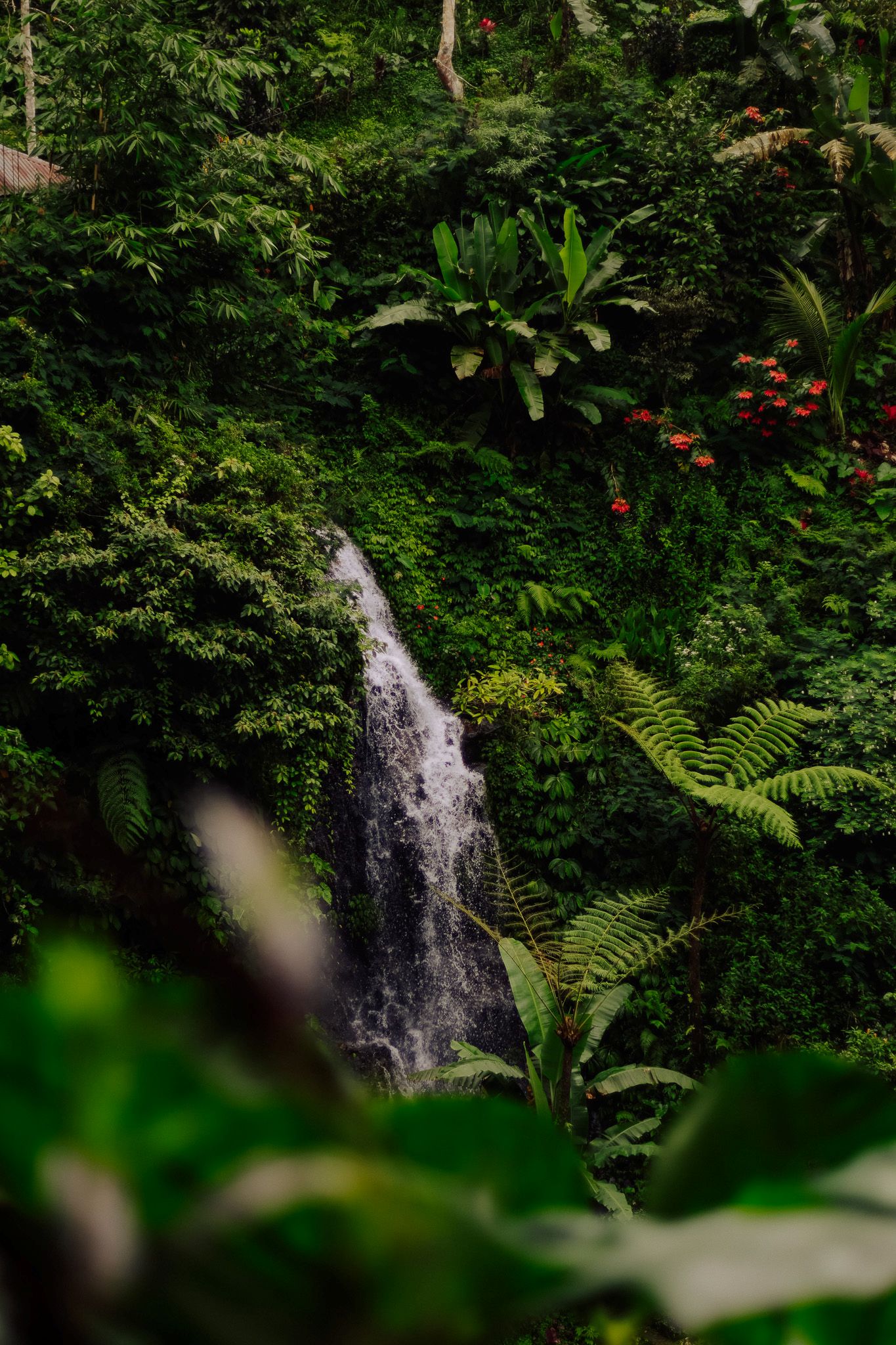 Waterfall in Bali